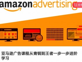 亚马逊广告课程,从青铜到王者一步一步进阶学习