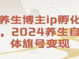 养生博主ip孵化课,2024养生自媒体旗号变现