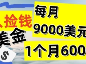 懒人捡钱撸美金项目,月收益9k+美金,简单无脑,干就完了