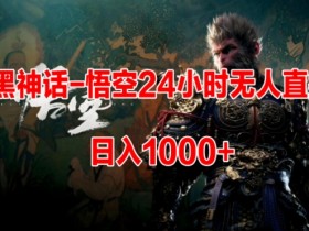 黑神话-悟空24小时无人玩法,日入1k,操作简单