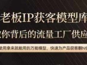 老板IP流量供应链,动作越少,账号越好,使用拿来就能用的万能模型,快速为产品获客翻N倍