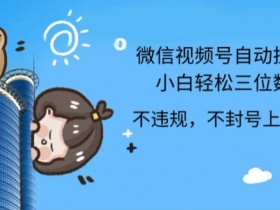 2024最新微信视频号挂JI,小白轻松日入三位数