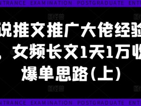 小说推文推广大佬经验分享，女频长文1天1万收益爆单思路(上)