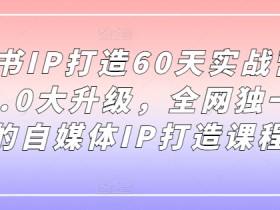 小红书IP打造60天实战营11期,5.0大升级,全网独一无二的自媒体IP打造课程