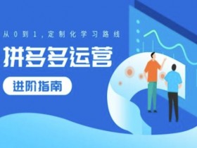 拼多多运营进阶指南,从0到1定制化学习路线
