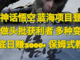 黑神话悟空,蓝海项目登场,争做头批获利者,多种变现日赚3k,保姆式教学