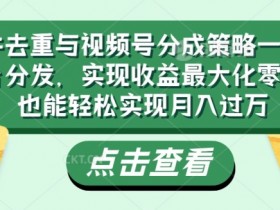 软件去重与视频号分成策略一键多平台分发,实现收益最大化零基础也能轻松实现月入过万