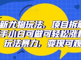 最新尤物玩法,项目拆解,新手小白可做可轻松涨粉,玩法暴力,变现可观
