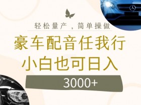 不为人知的暴力小项目,豪车配音,日入几张【揭秘】