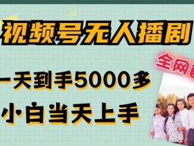 全网首发视频号无人播剧,拉爆流量不违规,一天到手5000多,小白当天上手,多号无限放大【揭秘】