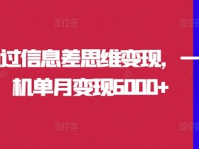 如何通过信息差思维变现,一部手机单月变现6000+