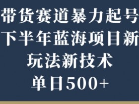 带货赛道暴力起号，下半年蓝海项目，新玩法新技术，单日500+