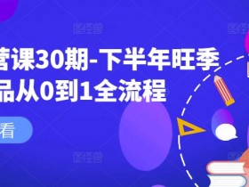 淘系运营课30期-下半年旺季新品从0到1全流程