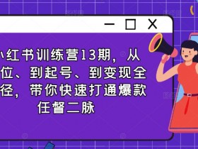 小红书训练营13期,从定位、到起号、到变现全路径,带你快速打通爆款任督二脉