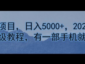 卖考研资料，日入5000+，2024年最新保姆级教程，有一部手机就能操作