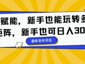 AI 赋能，新手也能玩转多平台矩阵，新手也可日入3张