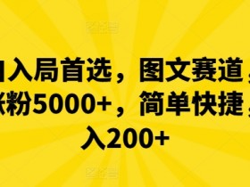 小白入局首选,图文赛道,一周涨粉5000+,简单快捷,日入200+