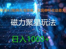 利用4.0矩阵布局策略,实现单号收益最大化,磁力聚星新玩法,日入1k+【揭秘】