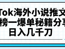 TikTok海外小说推文项目,榜一爆单秘籍分享,日入几千刀