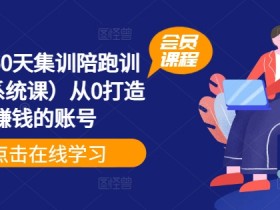 小红书60天集训陪跑训练营(系统课)从0打造能赚钱的账号