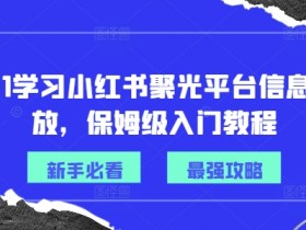 从0-1学习小红书聚光平台信息流投放,保姆级入门教程