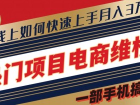 热门项目电商维权全新思路集,一部手机搞定【仅揭秘】