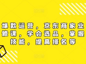 京东爆款运营,京东商家业绩增长必修课(无水印版),学会选品,掌握搜索技能,提高排名等