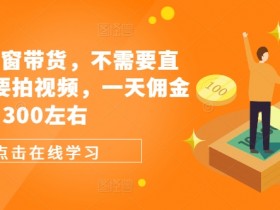 视频号橱窗带货,不需要直播,不需要拍视频,一天佣金300左右