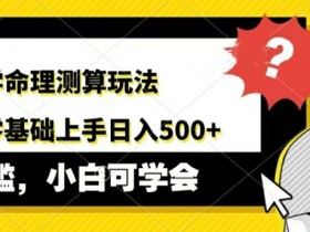AI国学命理测算玩法,小白零基础上手,日入几张