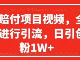 爆火赔付项目视频,全网平台进行引流,日引创业粉1W+【揭秘】