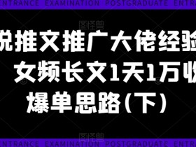 小说推文推广大佬经验分享,女频长文1天1万收益爆单思路(下)