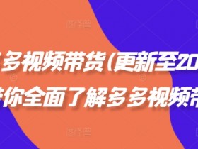拼多多视频带货(更新至2024)，带你全面了解多多视频带货
