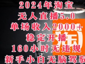 2024年淘宝无人直播5.0,单场收入2k+,稳定开播160小时无违规,新手小白无脑驾驭