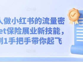 保险人做小红书的流量密码,Get保险展业新技能,从0到1手把手带你起飞
