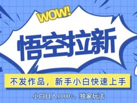 悟空拉新最新玩法,无需作品暴力出单,小白快速上手