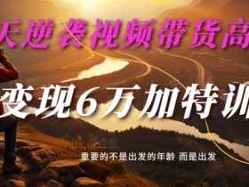 30天逆袭视频带货高手,单月变现6万加特训营-麦子甜