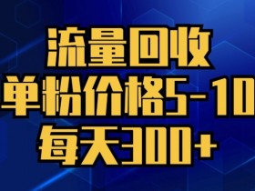 流量回收,单粉价格5-10,每天300+,轻松月入五位数