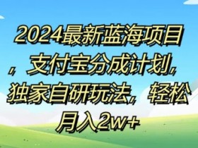 2024最新蓝海项目，支付宝分成计划，独家自研玩法，轻松月入2w+