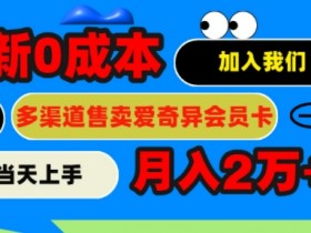 2024最新0成本售卖爱奇艺会员,月入2w+,小白当天上手