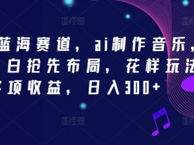 2024新蓝海赛道,ai制作音乐,新手小白抢先布局,花样玩法多项收益,日入300+【揭秘】
