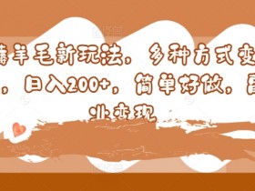 薅羊毛新玩法，多种方式变现，日入200+，简单好做，副业变现