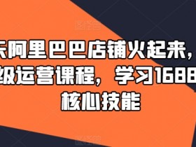 90天阿里巴巴店铺火起来,1688高级运营课程,学习1688运营核心技能