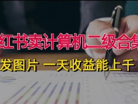 小红书卖计算机二级合集,发发图片 一天收益能上千