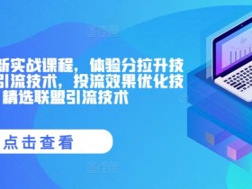 抖音小店最新实战课程,体验分拉升技术,商品卡引流技术,投流效果优化技术,精选联盟引流技术