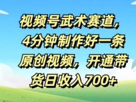 视频号武术赛道,4分钟制作好一条原创视频,开通带货日收入几张