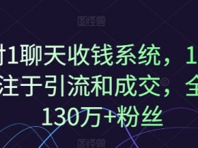 1对1聊天收钱系统,10年专注于引流和成交,全网130万+粉丝