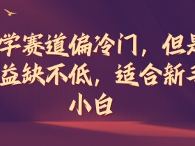 玄学赛道偏冷门,但是收益缺不低,适合新手小白【揭秘】