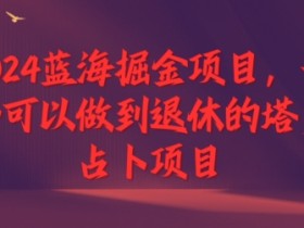 2024蓝海掘金项目,一个可以做到退休的塔罗占卜项目