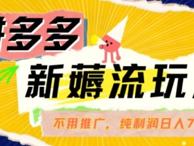 拼多多最新薅流玩法,无需开车推广,纯靠自然流吃饭-单纯赚50+利润,日入700+【揭秘】