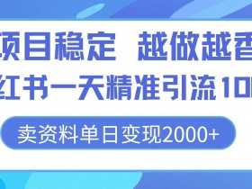 项目稳定,越做越香,小红书一天精准引流100+, 卖资料单日变现2k